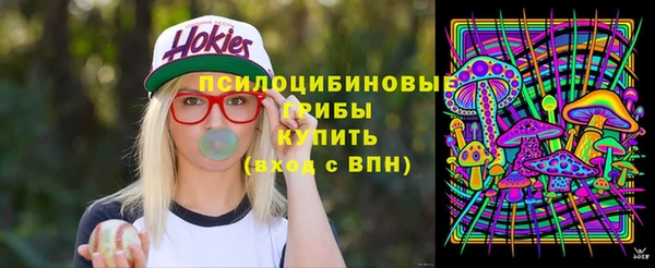 шишки Баксан